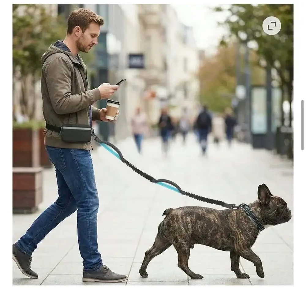 Hands-Free Dog Leash with Waist Pouch and Dual Bungee Handles